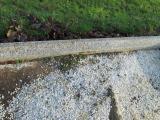 image of grave number 365060